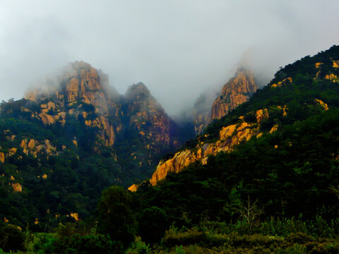 高山云雾