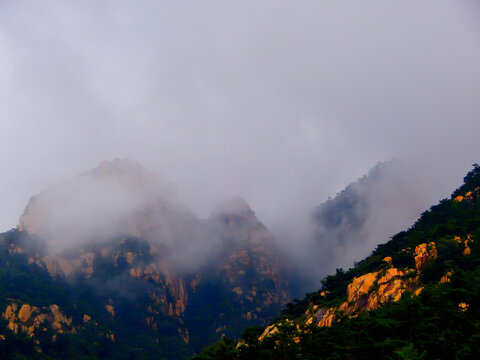 高山云雾