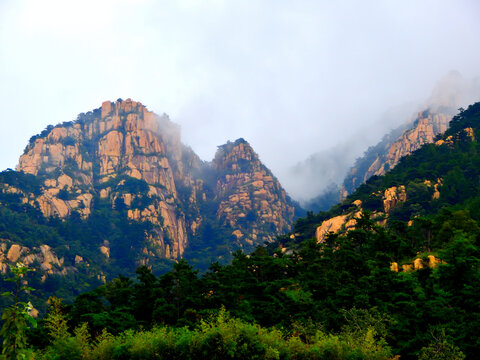 高山云雾