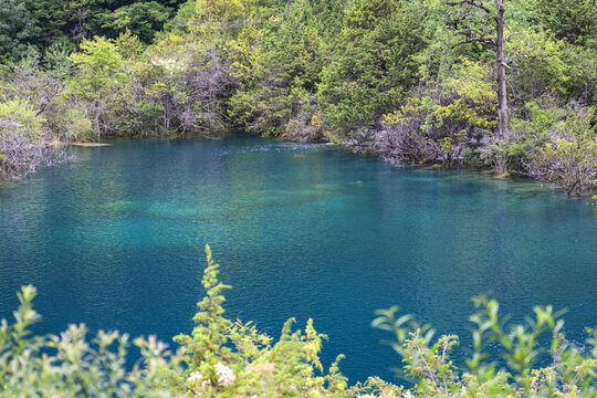 阿坝九寨沟