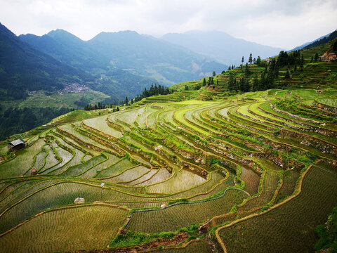 山区梯田