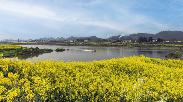 蓝天河流油菜花