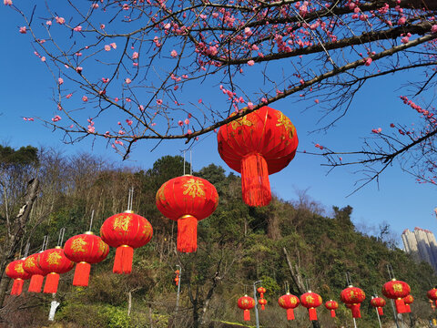 春节红灯笼