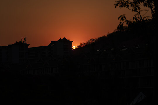 夕阳下树木的轮廓和剪影