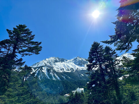 海螺沟冰川森林公园