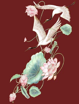 仙鶴荷花插畫