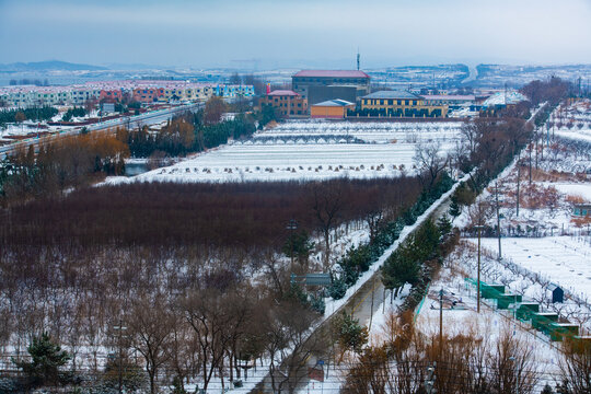 乡村雪景