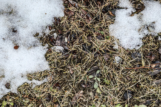 草地融雪