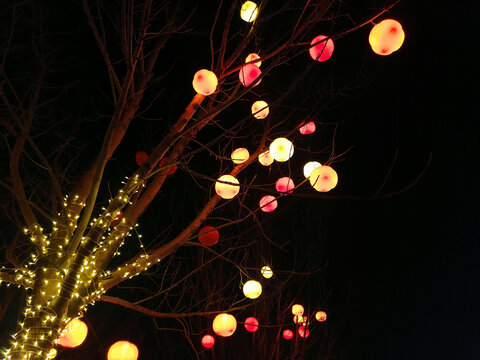 春节树挂彩灯