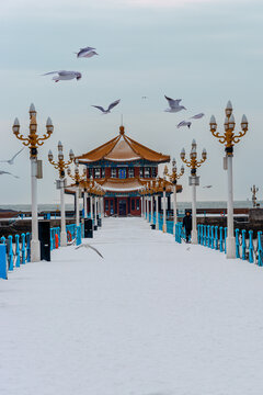 雪后青岛