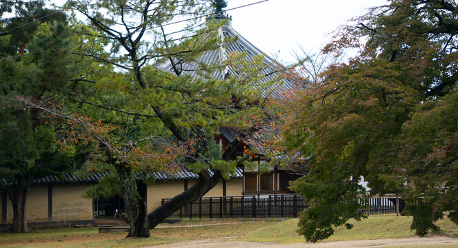 日式庭院