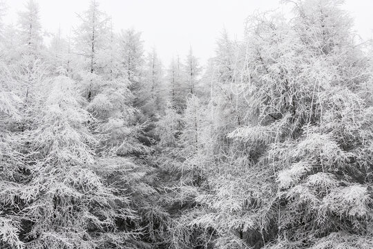 湖北巴东野三关高山雪景