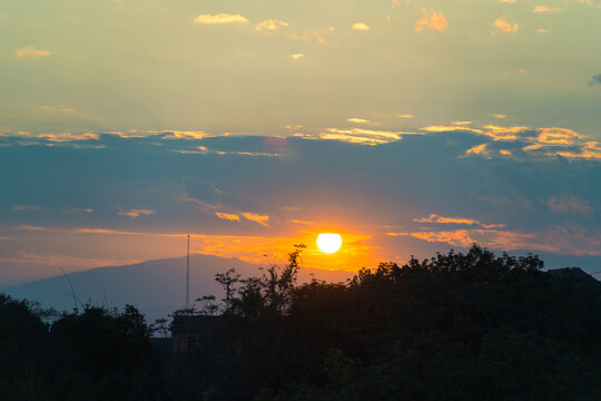 夕阳西下的天空衬托下树木的轮廓