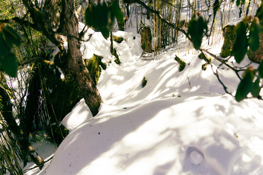 昆明轿子雪山景色