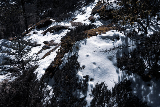 昆明轿子雪山景色