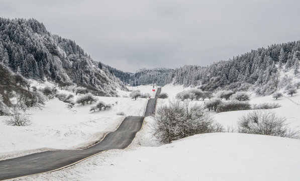 千山雪