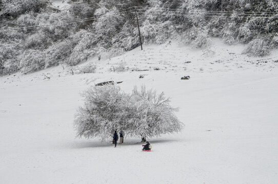 千山雪