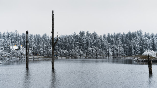 湖光雪景