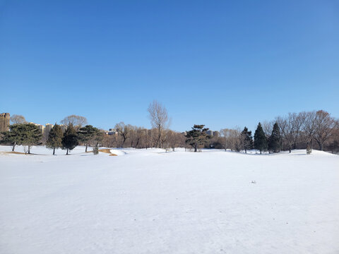 雪景