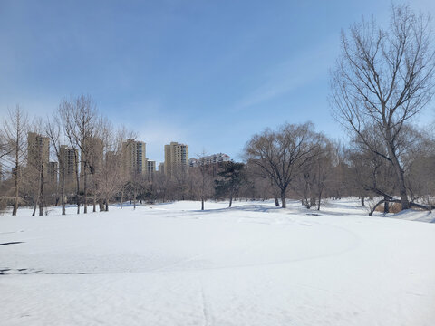 雪景