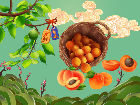 水果新鲜写实手绘杏插画