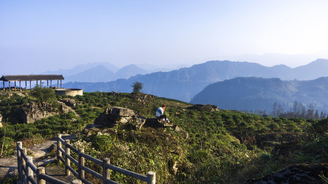 李家山茶园