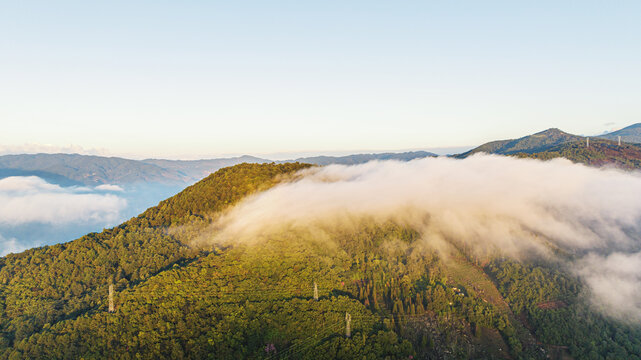 高山云雾