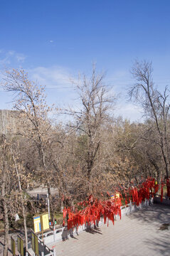 清泉禅寺祈福林