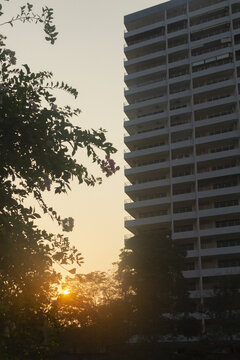 泰国芭提雅街景