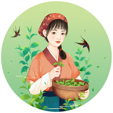 采茶女插畫