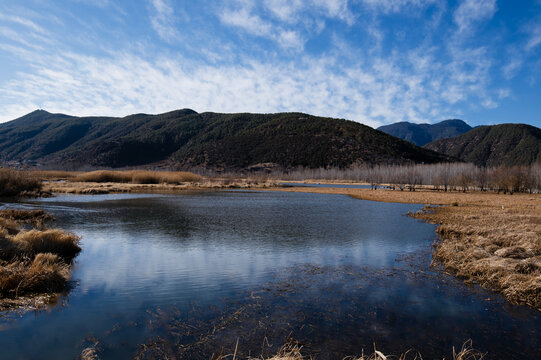 冬日原野