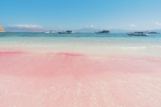 印度尼西亚科莫多岛粉色沙滩