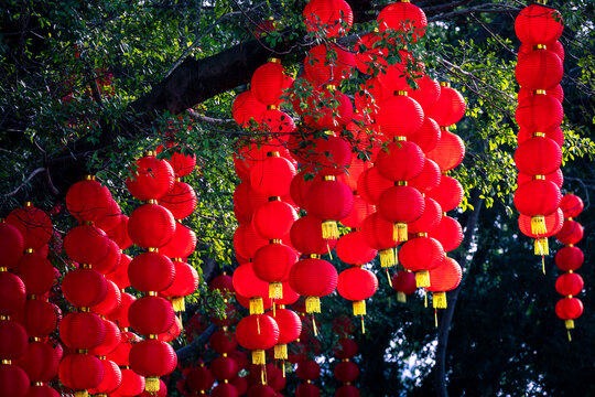 春节树上挂满红灯笼串