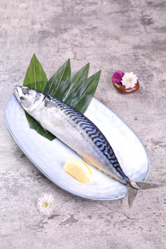 烤鲅魚