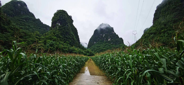 洪水风景