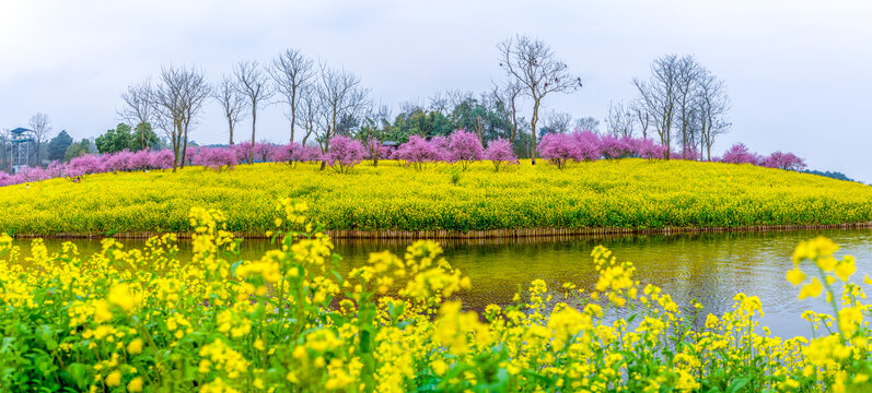 重庆巴南云林天乡景区