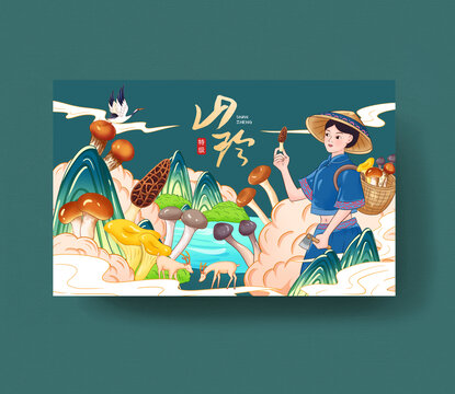山珍禮盒包裝插畫