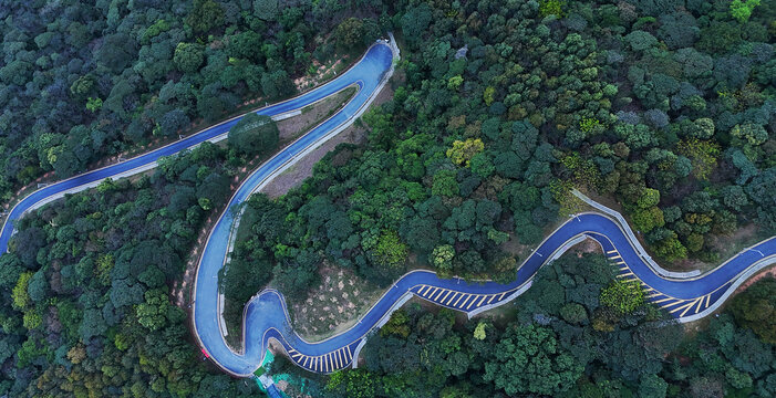 油麻山登山主道