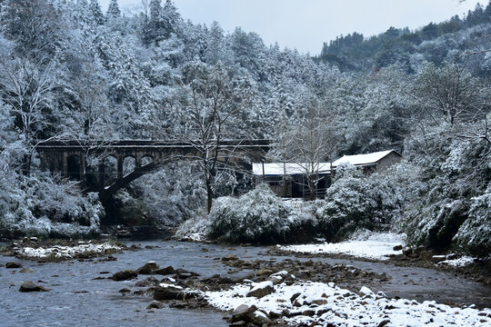 南方林场