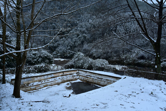 下雪的南方林场