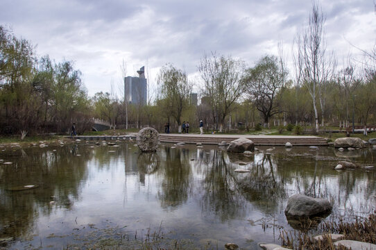 公园湿地园林风景