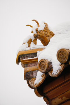 颐和园雪景