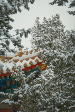 颐和园雪景