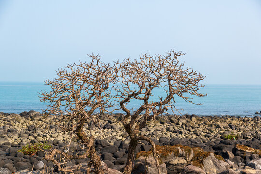 儋州峨蔓海边风光