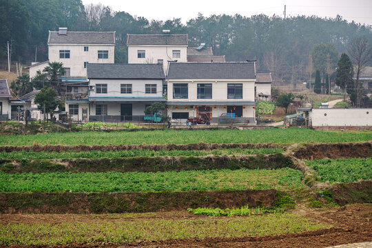 乡村风貌