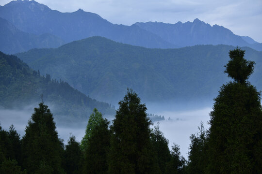 高山晨雾