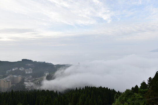 高山晨雾