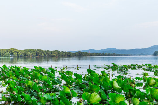 杭州西湖美景