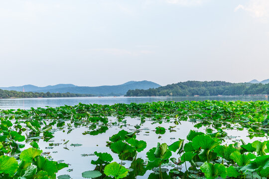 杭州西湖美景