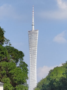 从二沙岛仰视小蛮腰